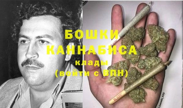 стаф Бородино