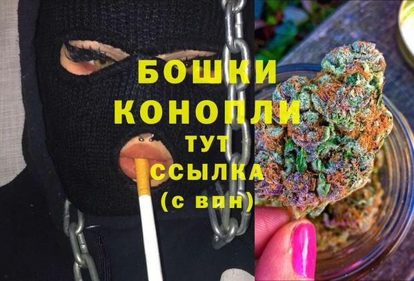 мдпв Горняк