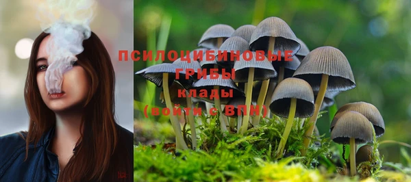 стафф Белоозёрский