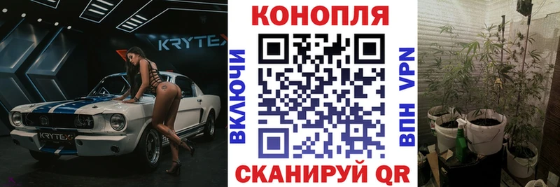 Шишки марихуана конопля  ссылка на мегу ссылка  Кушва 